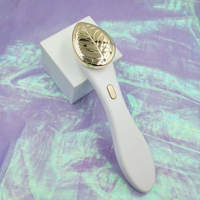 Pore Cleaner Eye Lips Pen Beauty Care Massager for Brightening and Wrinkle Reduction