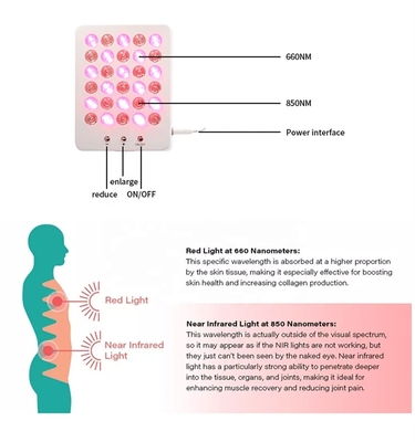 Red Light Therapy LED 4th Gear 24W Smooth Fine Lines 633nm 830nm for Wrinkle Removal