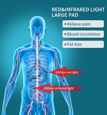 360pcsLED DIP Red Light Therapy Panel for Full Body Relief US Plugs Type Docking 110-240