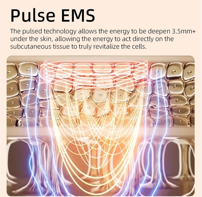 EMS Vibrating Face Beauty Device for Wrinkle Removal and Anti-aging HAND HELD Design