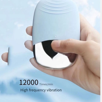 10.5*6.5*2.5cm Private Label Waterproof Rechargeable Electric Facial Cleansing Brush
