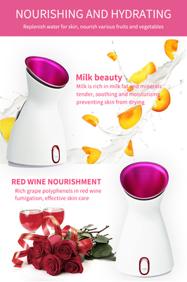 ABS Facial Steamer Machine for Ionic Operation System and Skin Detoxification