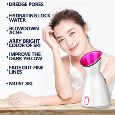 Customized Gift Box Electric Facial Steamer for Face Hot/Cold Function and Power Source