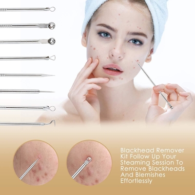 Color Box Size 19.2*14*25.6cm Facial SPA Steamer with Lamp and High Temperature