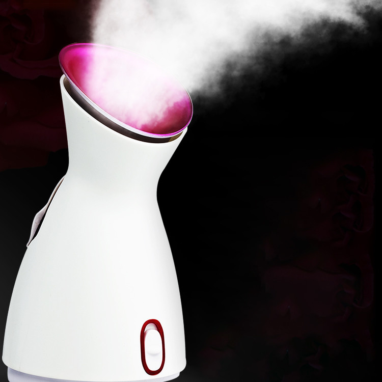 Customized Gift Box Electric Facial Steamer for Face Hot/Cold Function and Power Source